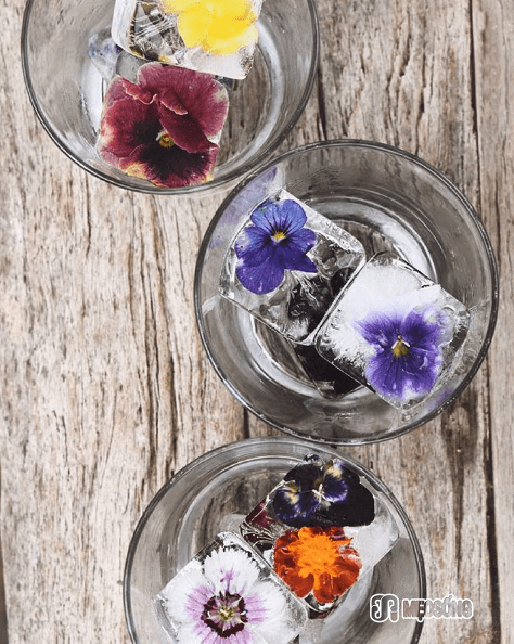 Big flower ice cubes, Nicole Scharer, Instagram