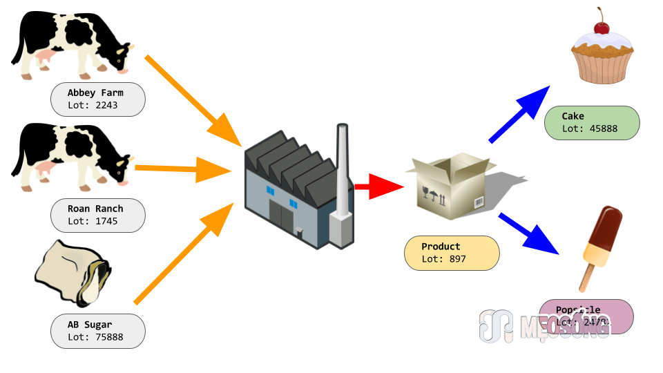 Traceability for food safety